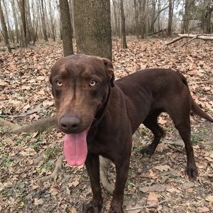 Meet your Posher, Cody